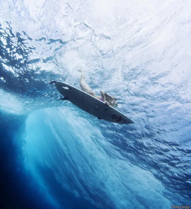 "Tienes que encontrar la manera de sortear que pase la ola y poder regresar a la superficie. Pero luego lo tienes que hacer cuatro o cinco veces dependiendo del número de olas que vienen hacia ti. Puede ser muy agotador y un ejercicio físico muy exigente".