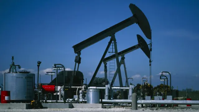 اوپیک میں بارہ رکن ممالک ہیں جو کہ دنیا میں تیل کے کل ذخائر کے 80 فیصد کے مالک ہیں