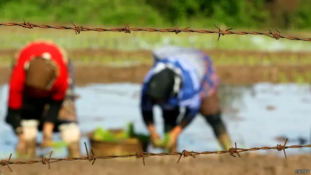 کار در مزرعه برای زنان کاری فصلی به شمار می‌رود و در تابستان یا زمستان به طور مقطعی بر آمار بیکاری اثر می‌گذارد