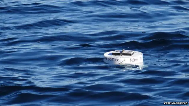 تتجربے سے سائنسدانوں کو لکڑی کے بے جان تختوں اور زندہ کچھووں کے سفر کے درمیان موازنے کا موقع ملا۔