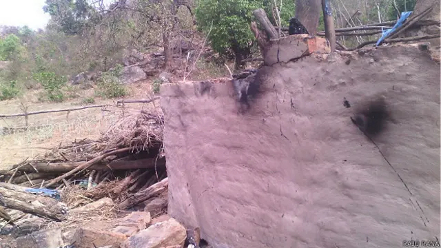 हाथियों का उत्पात