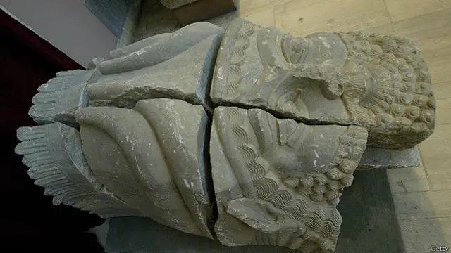 Украденная и распиленная голова быка