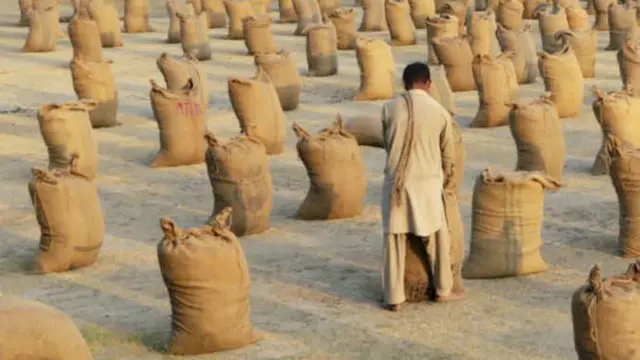 وزیر خزانہ نے اپنی بجٹ تقریر میں کسانوں کو دیے جانے والے زرعی قرضوں کی مقدار بھی 500 ارب روپے سے بڑھا کر 600 ارب روپے کرنے کا اعلان کیا