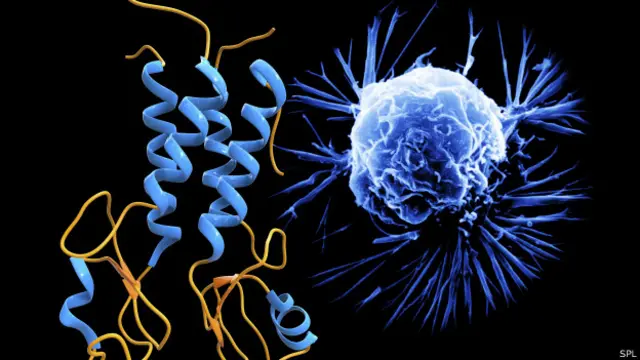 Gen BRCA comparado con una célula cancerígena