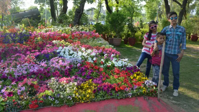 بچے پھولوں کے ساتھ اپنی تصویریں کھنچوانے پہنچ گئے۔