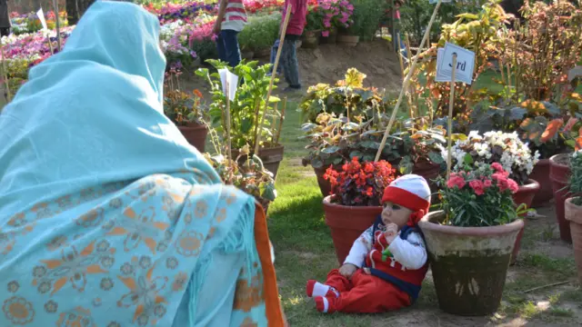 ایک خاتون اپنے پھول جیسے بچے کو پھولوں کے درمیان رکھ کر دونوں کا تقابل کر رہی ہیں۔