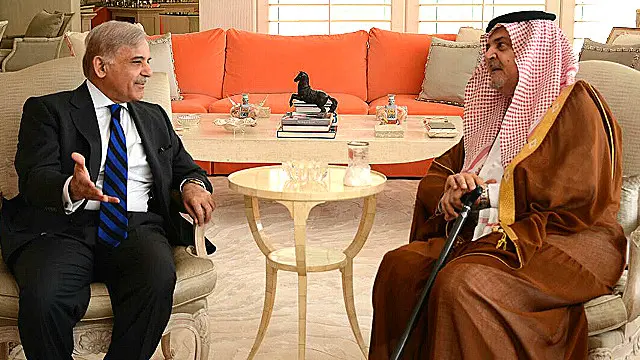 شہباز شریف کی قیادت میں اس سرکاری وفد نے سعودی عرب کے وزیر خارجہ شہزادہ سعود الفیصل سے ملاقات کی