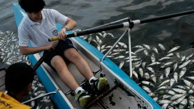 Samaki waliokufa Brazil