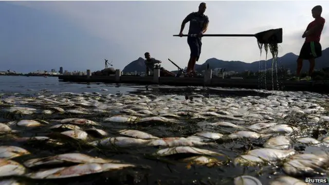 Serikali yalazimika kuzoa samaki waliokufa