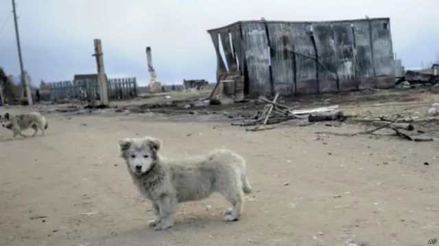 В Забайкалье за двое суток от огня пострадали более 21 тысячи человек, пожары уничтожили 203 жилых дома в 18 населенных пунктах