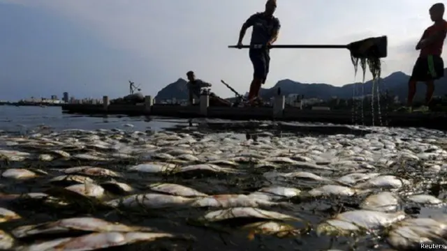 أطنان من السمك النافق ظهرت في السابق على سطح البحيرة