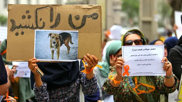 تجمع روز شنبه مقابل ساختمان شهرداری شیراز