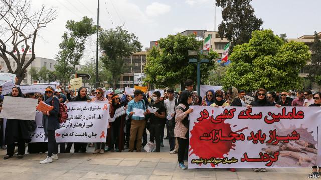 تجمع مدافعان حقوق حیوانات مقابل شهرداری شیراز