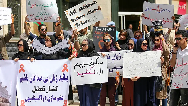 تجمع روز شنبه مقابل شهرداری شیراز