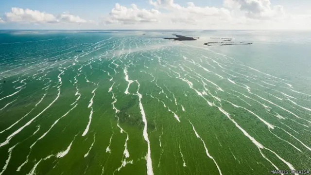 Los corales de Jardines del Rey (en la costa norte) son una atracción para submarinistas que visitan la isla.