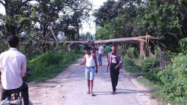 پیڑوں کے گرنے سے راستے منقطع ہوجاتے ہیں اور بجلی کا نظام درہم برہم ہو جاتا ہے