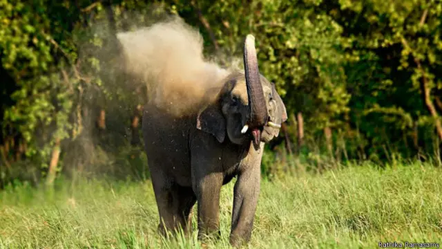 हाथ (फाइल फोटो)