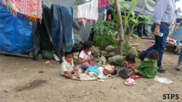Niños jornaleros agrícolas en Colima