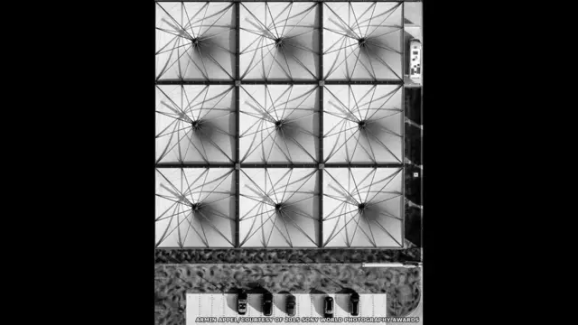 переможці конкурсу Sony World Photography Awards 2015