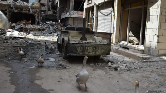 Yarmuk'ta insanların olmadığı, kazların dolaştığı sokaklar... 