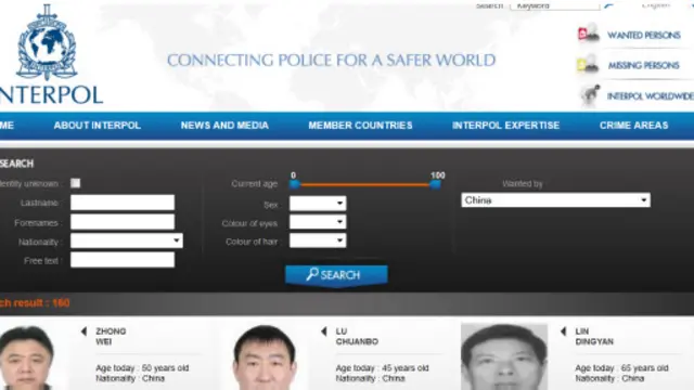 国际刑警组织目前发出了160张对中国籍嫌疑人的红色通缉令，包括各类刑事犯罪疑犯。