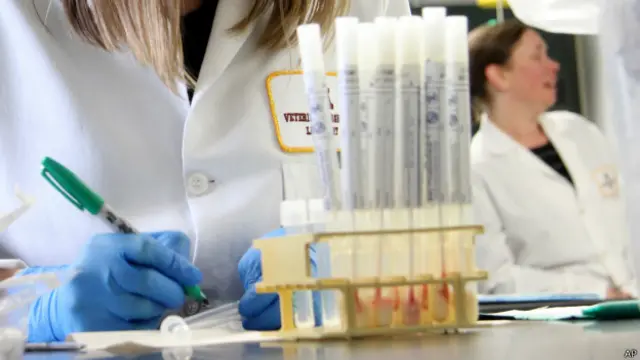 fbi, cabello, error, análisis