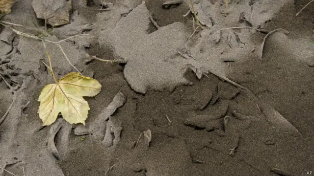 San Martín de los Andes es la ciudad más afectada.