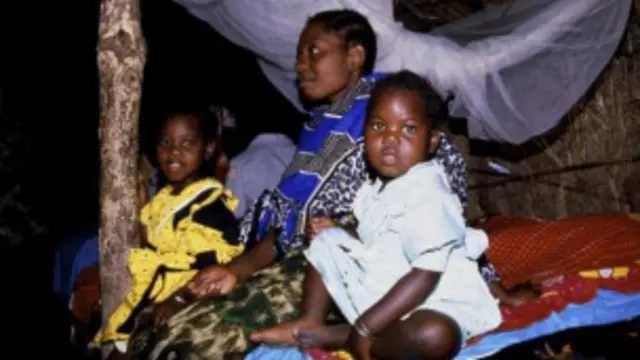 Le nombre de décès dus au paludisme a été divisé par deux sur le continent africain