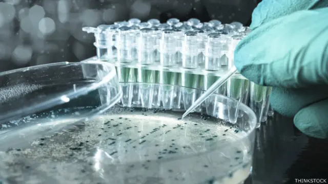 El objetivo de los investigadores era corregir el gen responsable de una enfermedad hereditaria.