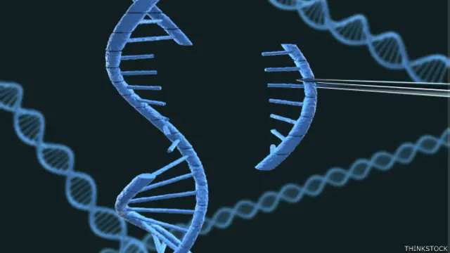 La técnica permite alterar de forma más rápida, precisa y detallada cualquier posición de los 23 pares de cromosomas del genoma.