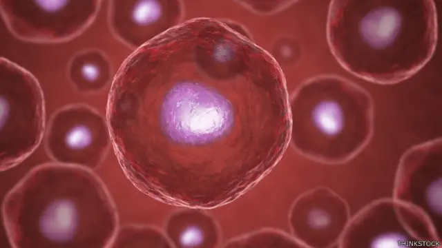 Los embriones utilizados tenían una copia extra de cromosomas en cada célula, por lo que no hubiera podido desarrollarse de ellos un feto normal.