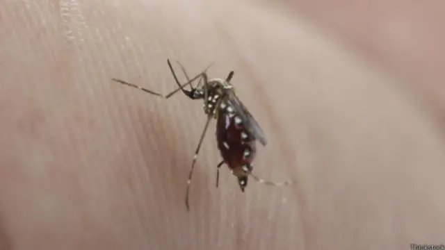 மலேரியா தடுப்பு மருந்துக்கு சாதகமான சமிக்ஞை