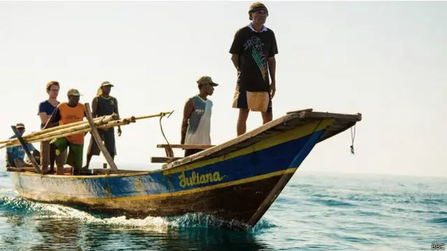 Un "lama fa" experimentado es muy respetado.