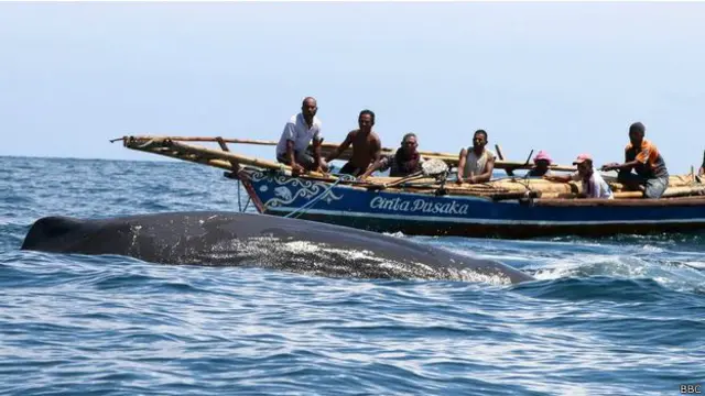 La caza es más bien un juego de paciencia.