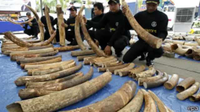 ကာလပေါက်စျေး ဒေါ်လာ ၆ သန်းကျော် တန်ကြေးရှိ။