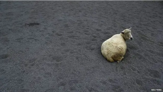  رہائشیوں کو اپنے مویشیوں کے ہلاک ہونے کے بارے میں خدشات ہیں