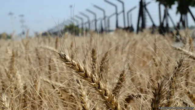 हाल के समय में रह रह कर भारत पाकिस्तान सीमा से तनाव की ख़बरें मिलती रही हैं