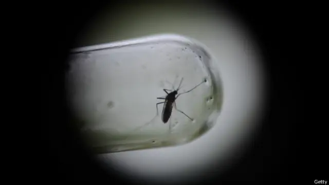 390 millones de personas se infectan de dengue al año, según la OMS.