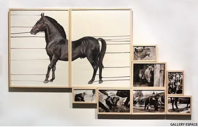 फ़ोटो प्रदर्शनी 'इम्पोटेंट रेज'