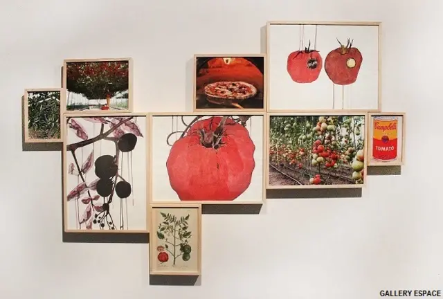 फ़ोटो प्रदर्शनी 'इम्पोटेंट रेज'