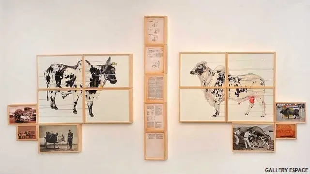 फ़ोटो प्रदर्शनी 'इम्पोटेंट रेज'