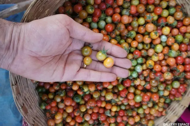 फ़ोटो प्रदर्शनी 'इम्पोटेंट रेज'