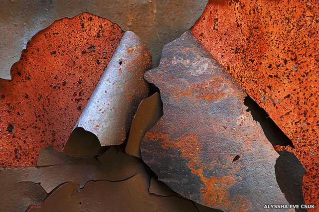 Obra de Alyssha Eve Csuk www.alysshaevecsuk.com