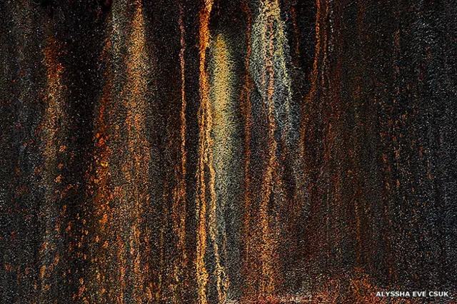 Obra de Alyssha Eve Csuk