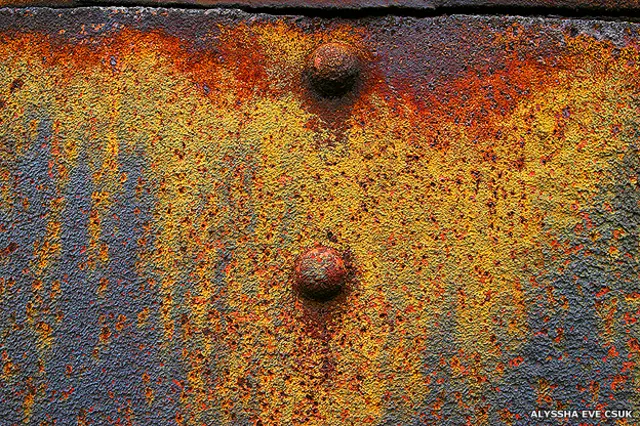 Obra de Alyssha Eve Csuk