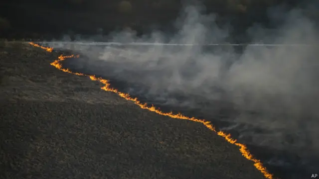 Пожежа біля Чорнобиля