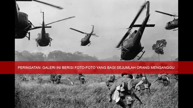 Perang Vietnam