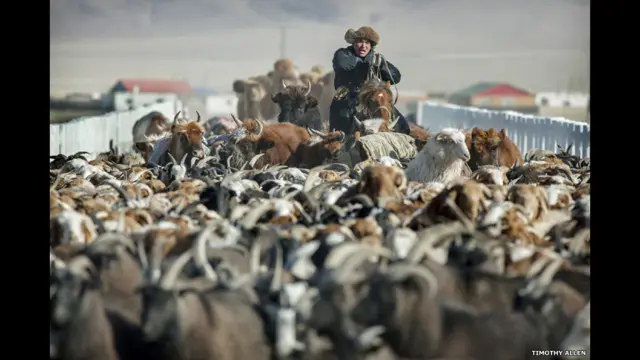 موسمِ سرما کے عارضی گھر سے روانگی کے بعد اور پہاڑی راستوں میں گم ہونے سے پہلے تمام مویشی اوولانہس نامی گاؤں سے گزرتے ہیں۔ 