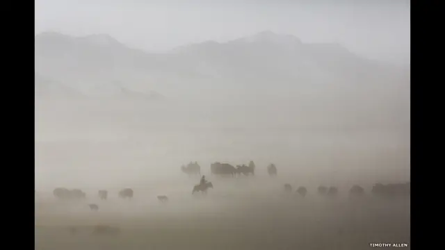 سالانہ ہجرت کے اس راستے کے نشیبی علاقوں میں، جہاں برف نہیں ہوتی، وہاں تیز ہواؤں کو گرد آلود آندھی میں تبدیل ہوتے دیر نہیں لگتی۔ آندھی آتے ہی خانہ بدوشوں کے لیے ضروری ہو جاتا ہے کہ وہ جلدی جلدی تمام مویشیوں کو ایک جگہ اکٹھا کریں اور آندھی کے تھمنے کا انتظار کریں۔