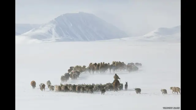 موسمی حالات سے باخبر رہنے کے لیے یہ گڈریے ’لانگ ویوو‘ فریکونسی والے ریڈیو اپنے پاس رکھتے ہیں۔ اگر موسم زیادہ خراب ہو جائے تو یہ لوگ کسی طویل پہاڑی درّے میں داخل نہیں ہوتے بلکہ باہر ہی رک کر موسم بہتر ہونے کا انتظار کرتے ہیں۔ 